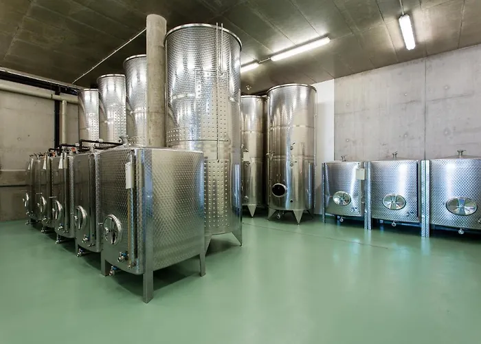Casa de hóspedes U Vinařství šabata Zaječí